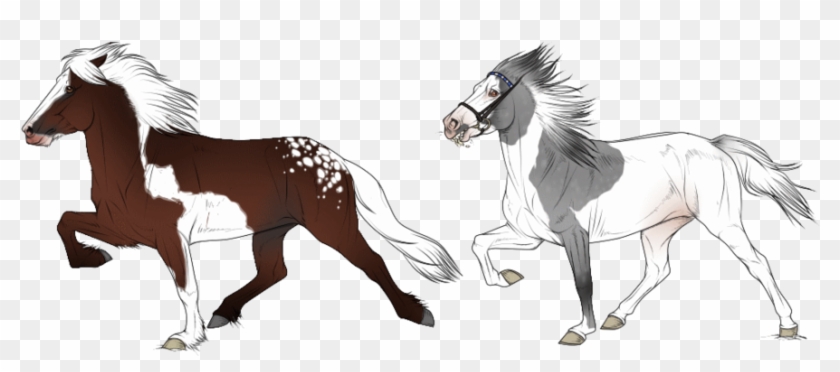 Icelandic Horse Clipart - Icelandic Horse Drawing #392108