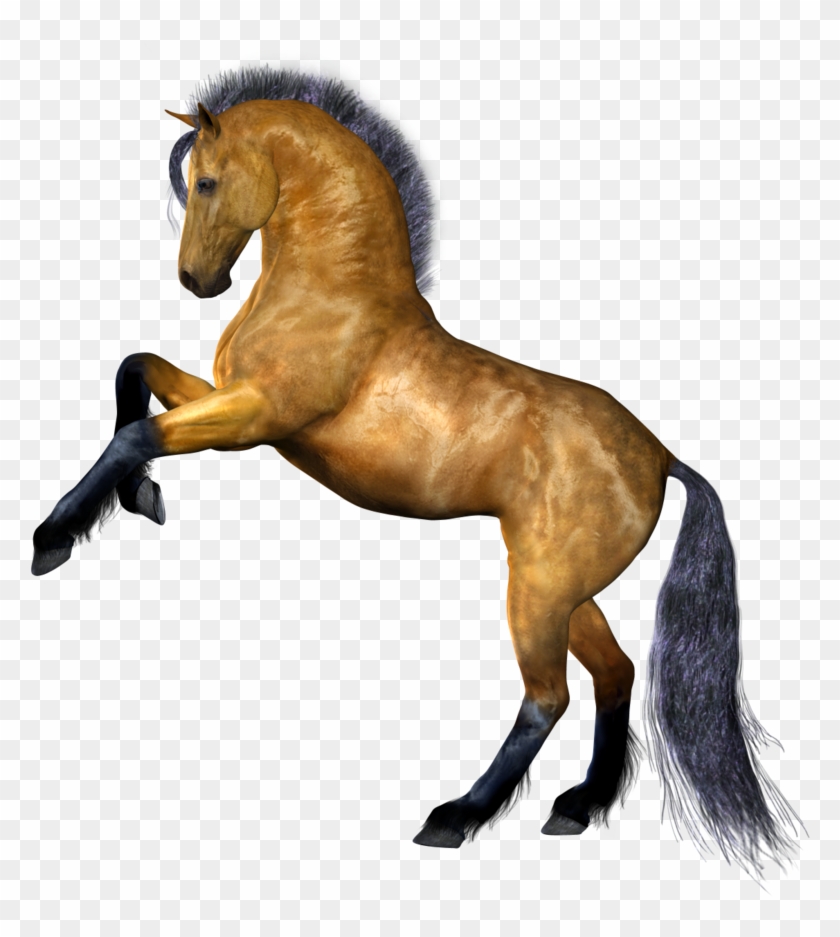 Horse Transparent Background #392111