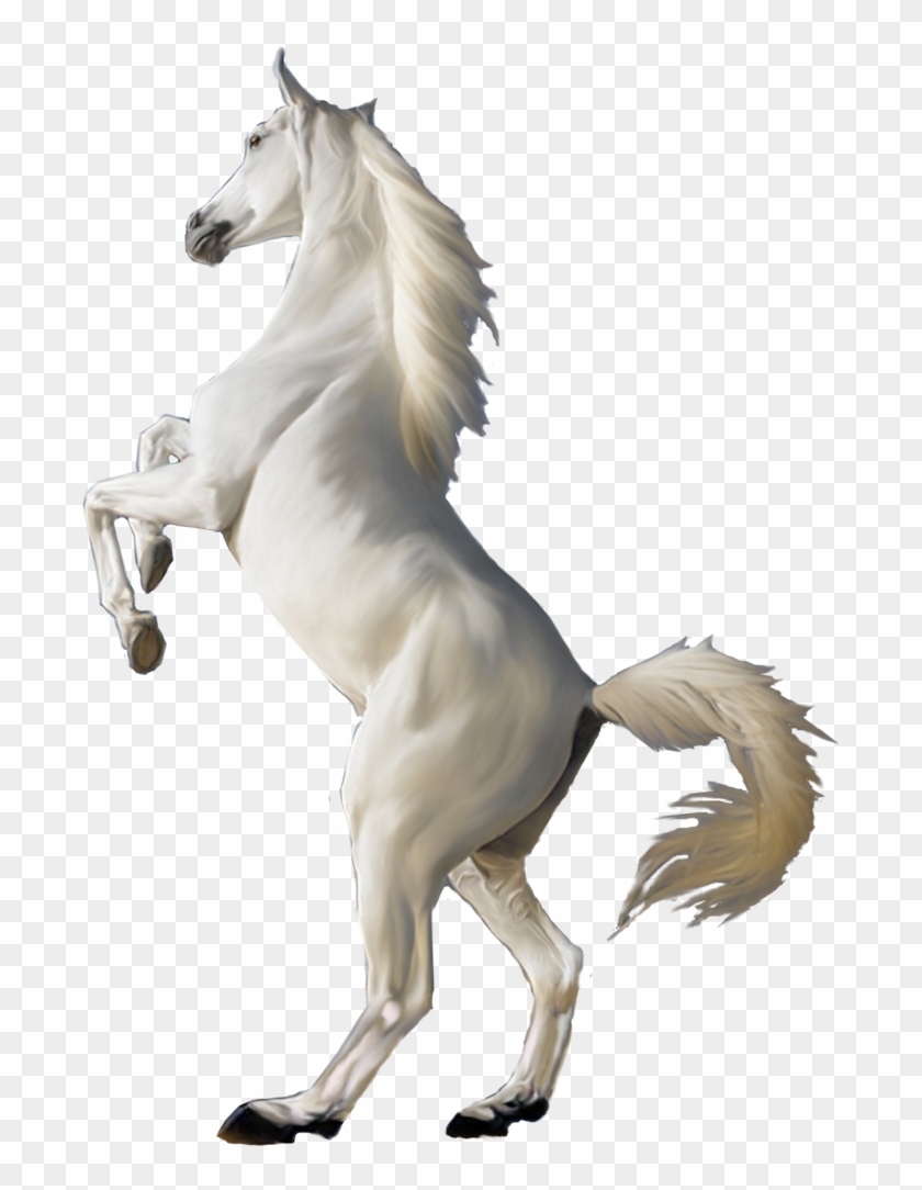 Horse White Clipart Png Jumping - White Horse Png #392134