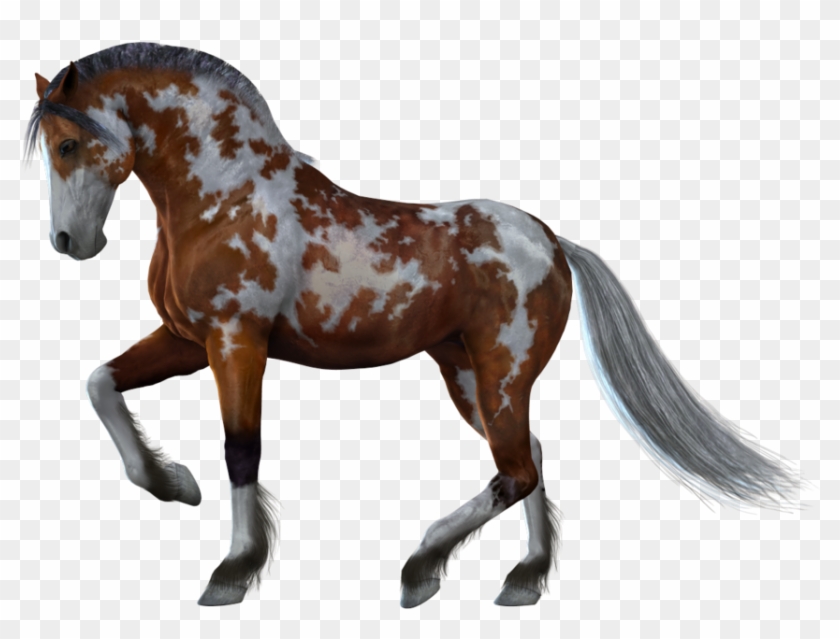 Horse Png Images - Horse With White Background #392145