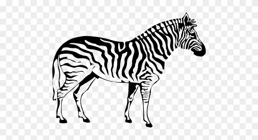 Siluet Zebra - Zebra Coloring Pages #392213