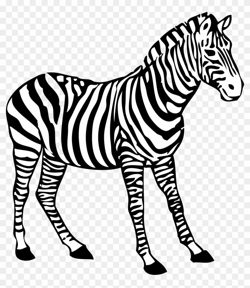 Zebra Clipart Black And White - Coloring Picture Of Zebra #392217