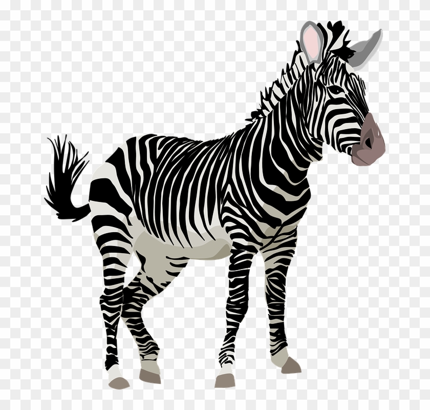 Zebra Clipart Wild Animal - Zebra Transparent #392218