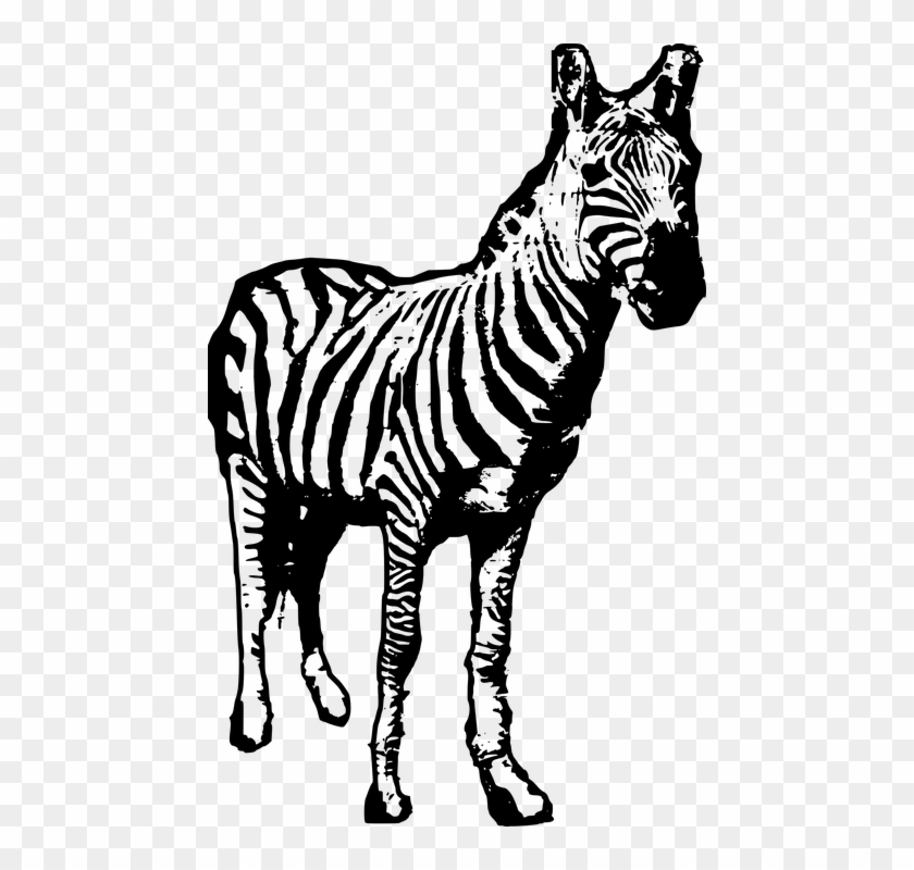 Baby Zebra Clipart 6, - 斑马 Art #392221