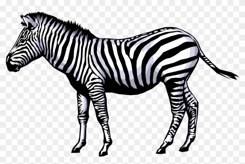 Zebra Clipart Full Hd - Zebra Clip Art #392225