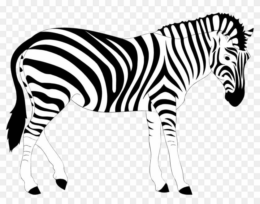 Zebra Clipart Realistic - Zebra Illustration #392250