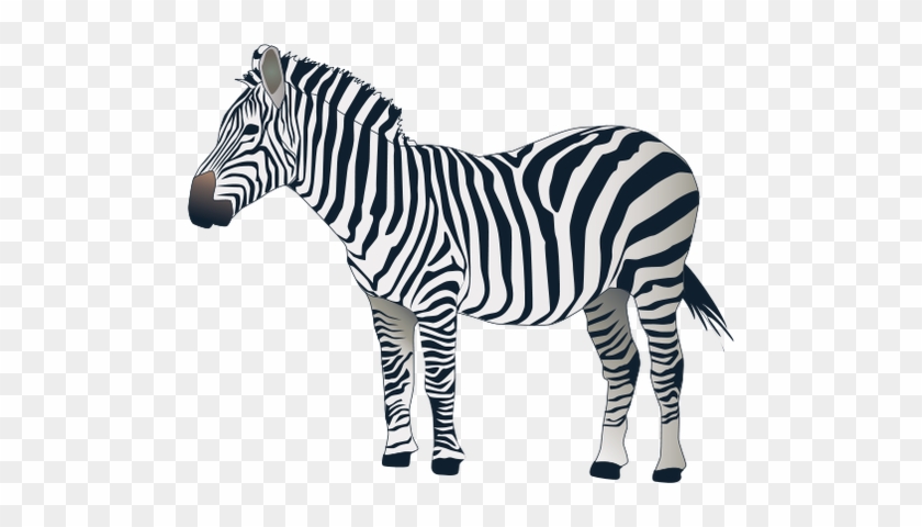 Baby Zebra Clip Art Clipart - Зебра Пнг #392255