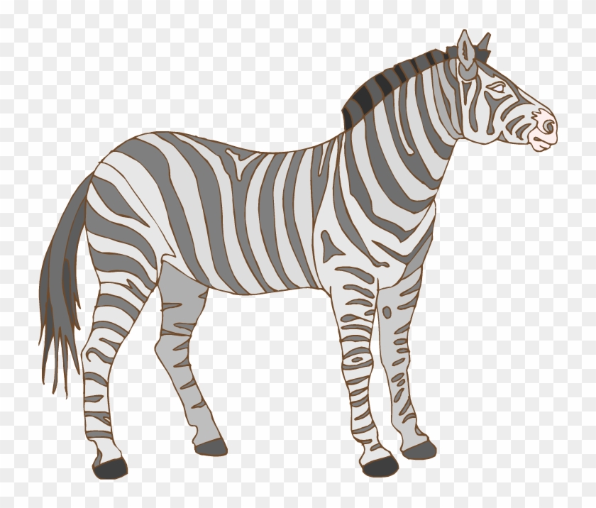 Black And White Zebra - Zebra Clipart #392257
