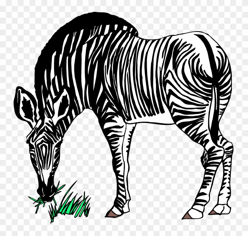 Download - Zebra Eating Grass Clipart #392258