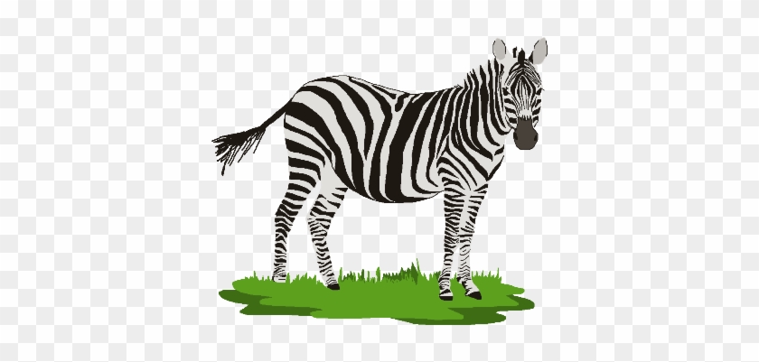 Zebra Clipart Png 1 Station - Zebra Clipart Png #392259