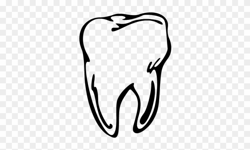 Molar Clip Art - Dentistry #392263