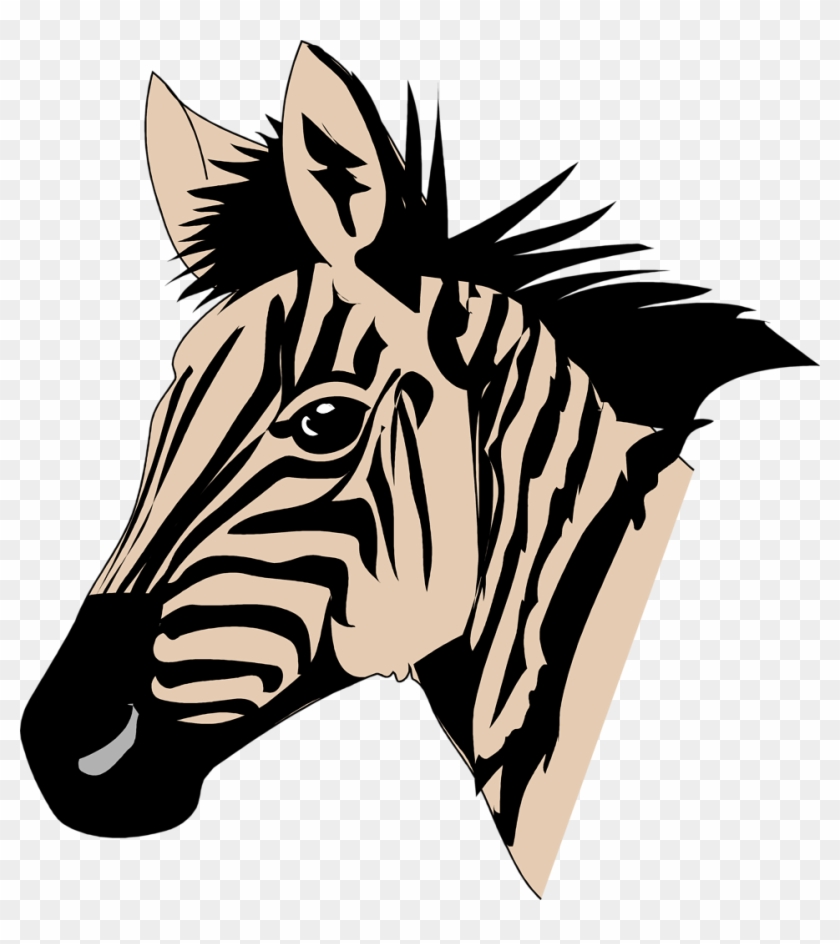 Zebras Free Stock Photo Illustration Of A Zebra Head - Zebra [1] Shower Curtain #392273