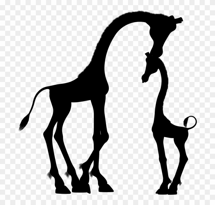 Baby Zebra Clipart 17, - Silhouette Mom And Baby #392329
