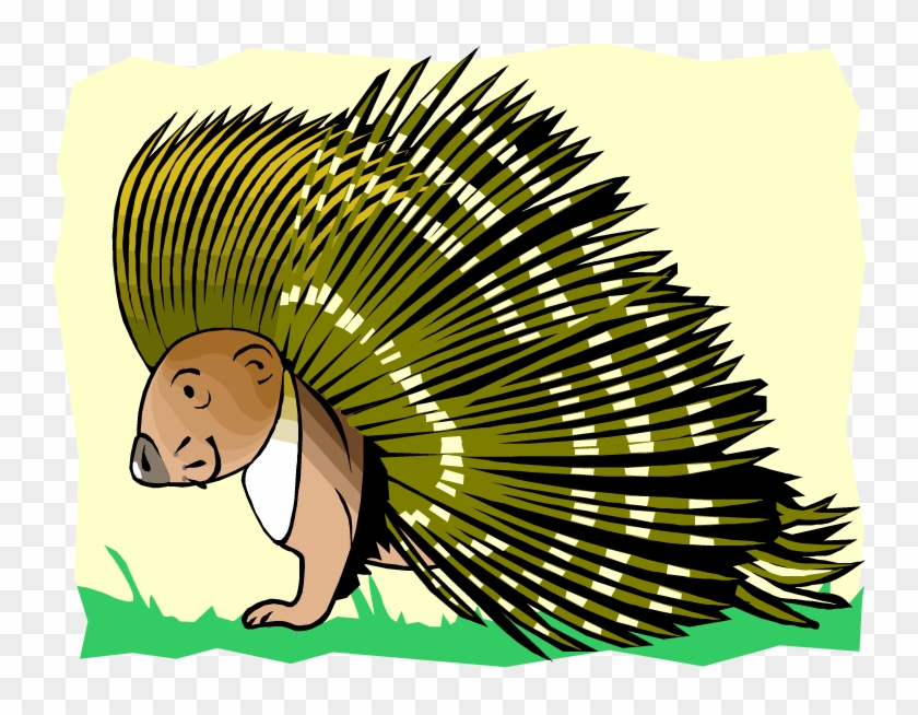 Porcupine - Clipart Pictures Of Animals Porcupine Transparent Png #392564