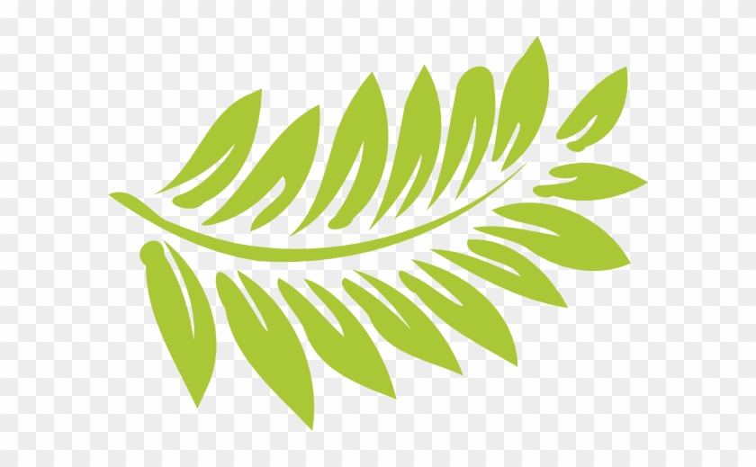 Leaves Clipart Ferns - Hibiscus Clipart #392795