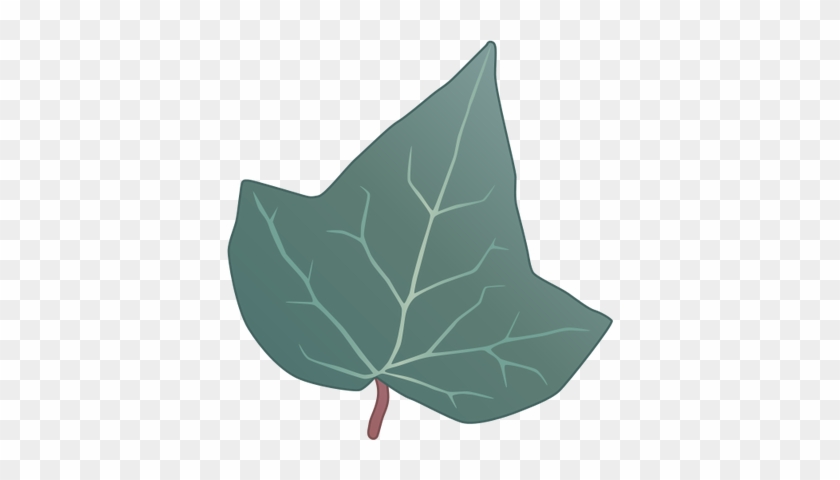 Drawn Leaf Ivy Leaf - Ivy Leaf Vector #392813