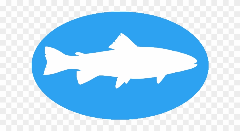 Fish On - White Patagonia Trout Sticker #392879