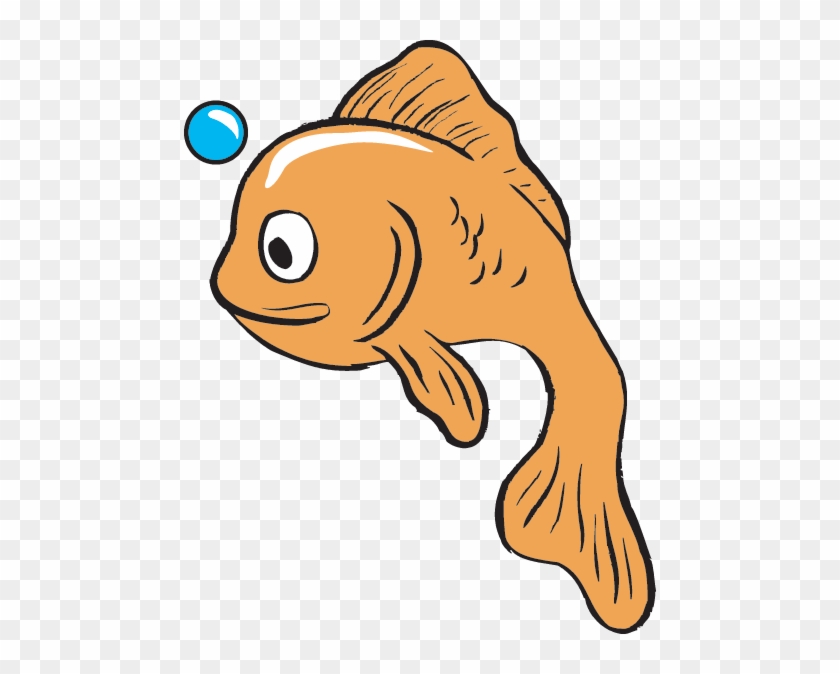 Fish Face - Goldfish #392968