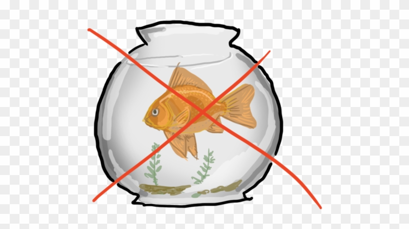 Goldfish Clipart Orange Things - Gold Fish In A Bowl #393137