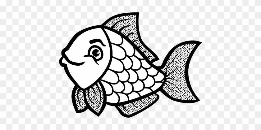 Fish Animal Water Fish Fish Fish Fish Fish - Line Art Of Fish #393140