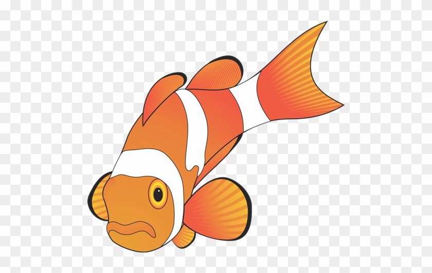 A List Of Design Ideas That You Can Use To Customize - Orange Fish Vector #393169