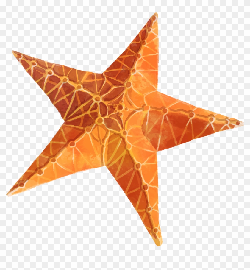 Starfish Clipart Png 02 - Stock.xchng #393211