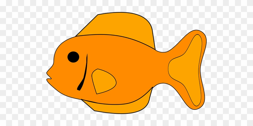 Fish Orange Animal Tropical Aquarium Fish - Fish Clipart #393226