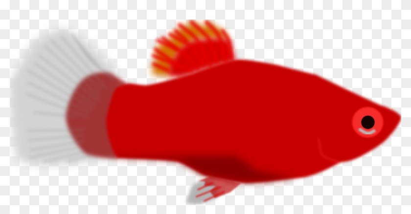 Aquarium Fish - Red Fish Clip Art #393273