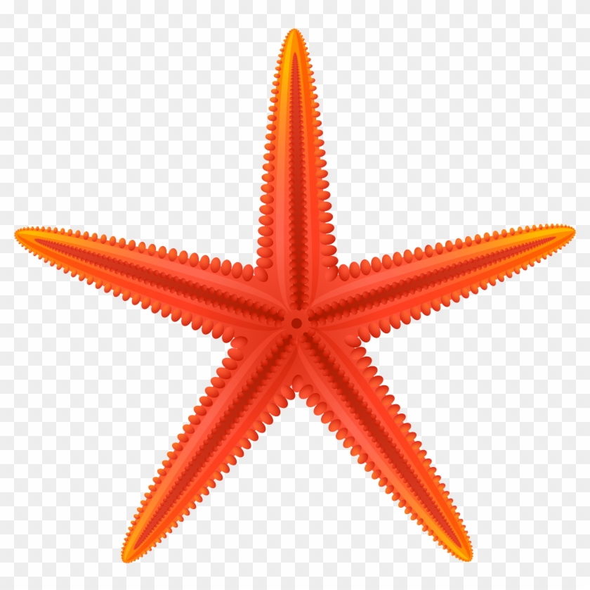 Red Starfish Png Clip Art - Red Starfish Png Clip Art #393287