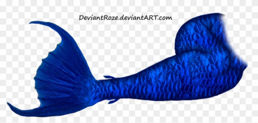 Mermaid Tail Png Picture - Dark Blue Mermaid Tails #393300