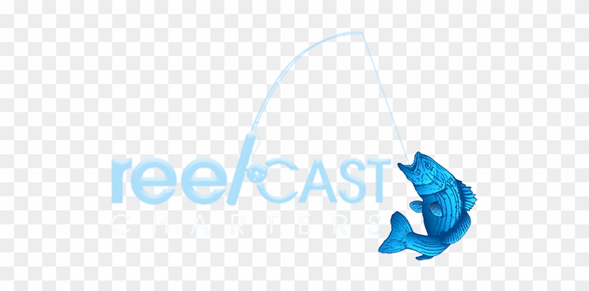 Reel Cast Charters - Swordfish #393353