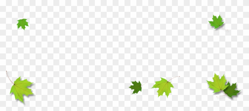 Leaves Border Png - Maple Leaf #393376
