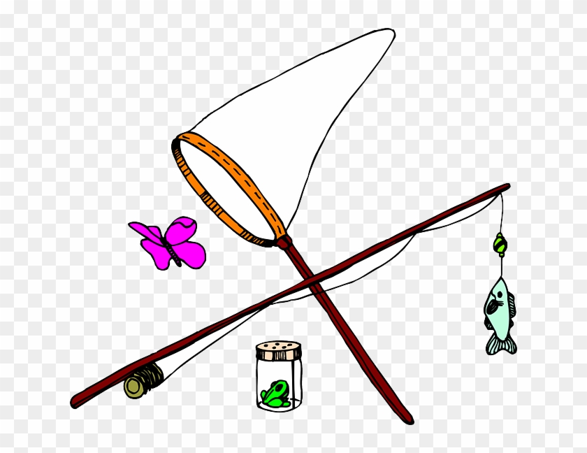 Fish, Net, Insect, Fishing, Jar, Pole - Bug Net Clip Art #393381