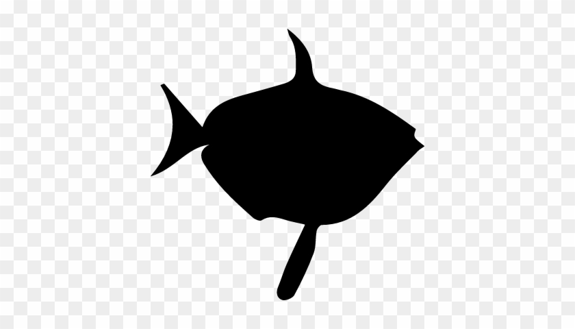 Opah Fish Shape Vector - Shark #393400