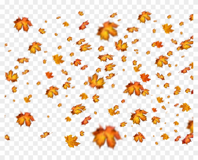 Fall Leaves Png Overlay For Photoshop - Overlay De Folhas Photoshop #393447