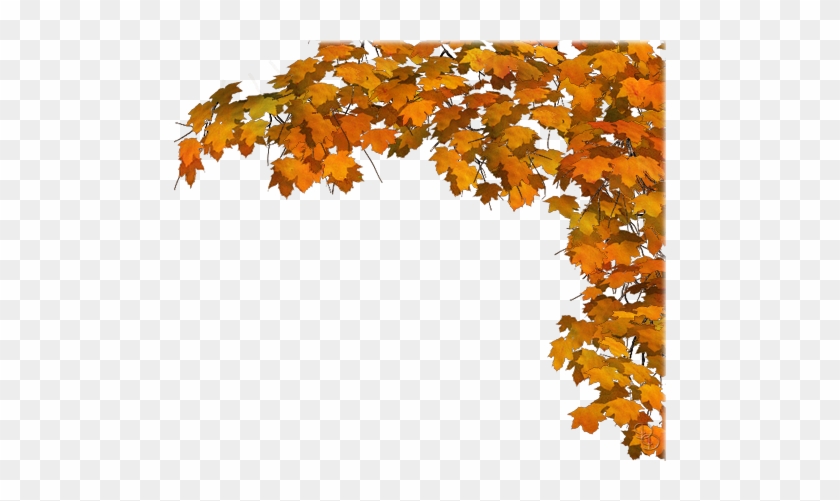 Fall Leaves Border Png The Gallery For > Fall Leaves - Herfstblaadjes Png #393460