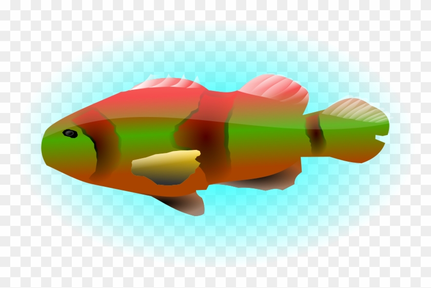 Free Colourful Fish - Clip Art #393612