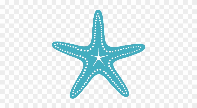 Great Accommodations - Teal Starfish Png #393622