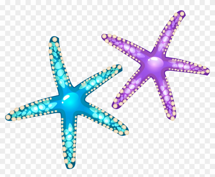 Starfish Euclidean Vector Seashell - Starfish #393634