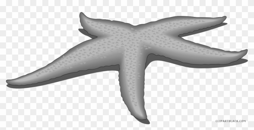 Grayscale Starfish Animal Free Black White Clipart - Smarts-art 5 X Shell Starfish 15cm Tile Transfers Stickers #393663
