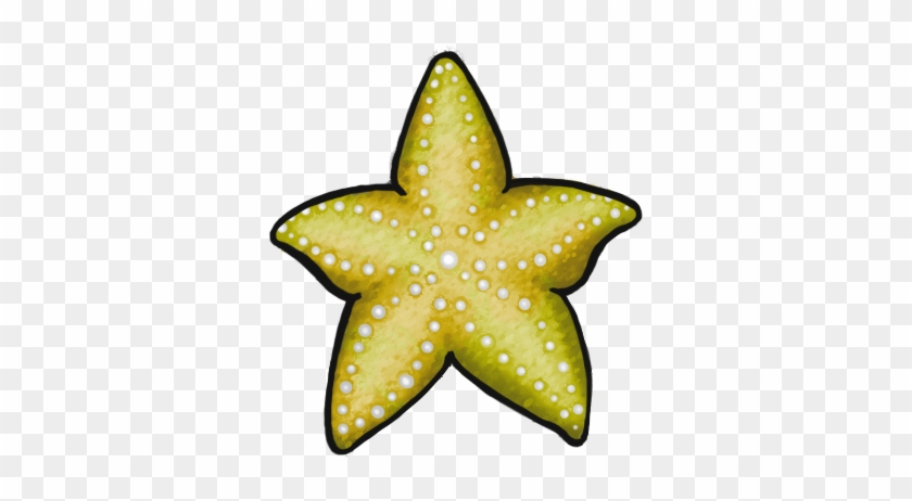 Starfish Yellow 2 Tbranching Coral2 Yellow Tbranching - Starfish #393714