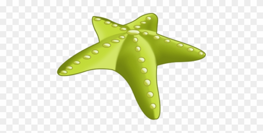 Green Starfish Full Size - Starfish #393726