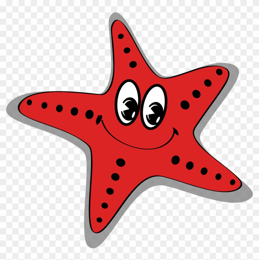 Starfish Cartoon Sea - Starfish #393758