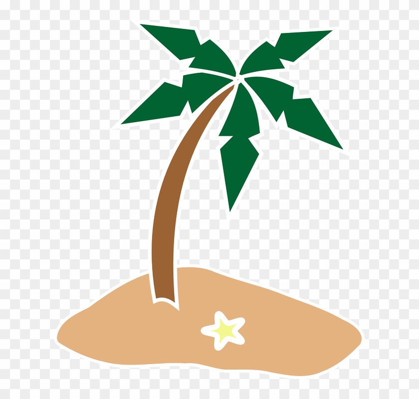 Palm Tree, Coconut Tree, Island, Starfish, Summer - Island Png #393813