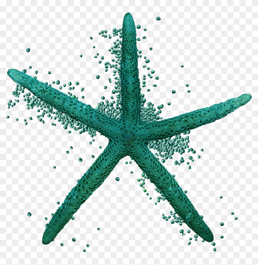 Scrap Kit Del Oceano, Part - Starfish #393819