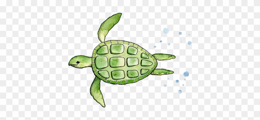 5agyo2 - Turtle Watercolor Simple #393824