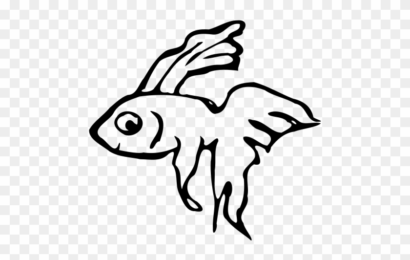 Get Notified Of Exclusive Freebies - Fish Beta Black And White Clipart #393863