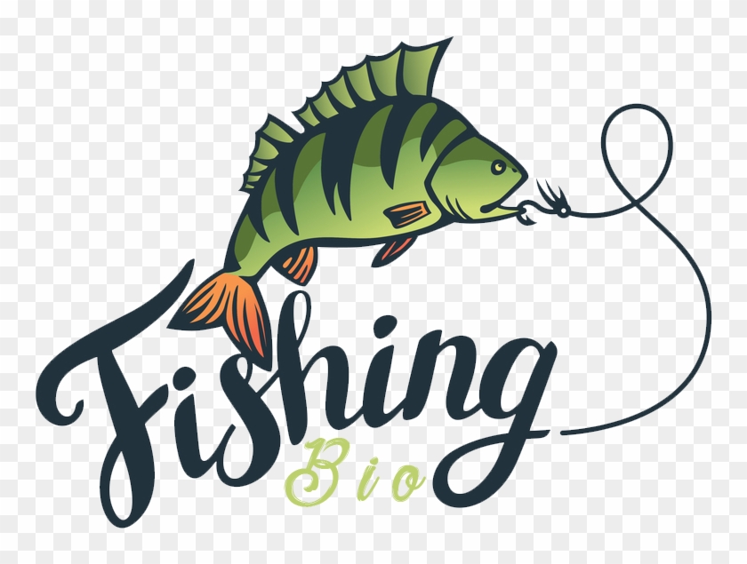 Hock Fish Logos - Tipografia Letras Pesca #393922