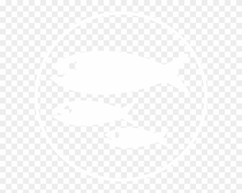 This Free Clip Arts Design Of White Fish - Fish Logo Png White #393936