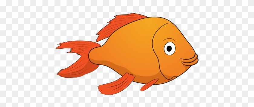 Blogpost Psu Questions - Garibaldi (fish) #394033
